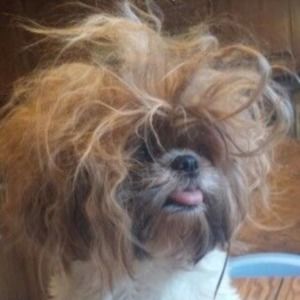 Meet your Posher, Mark